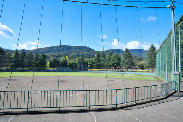 バックネット側からの球場