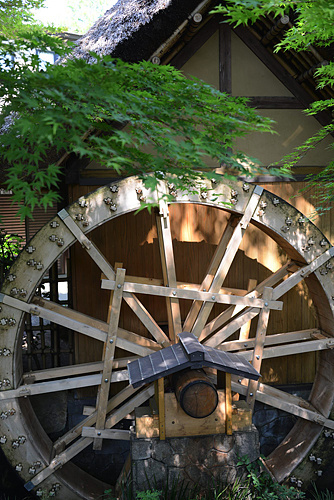 鍼灸と漢方は車の両輪である